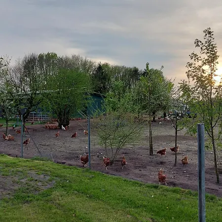 Daire Huehnerhof-roehrs