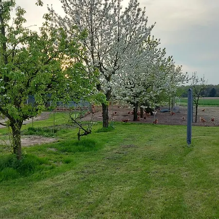 Huehnerhof-roehrs Apartmán
