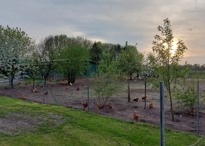 Appartement Huehnerhof-roehrs